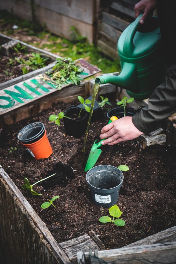 Organic Farming Practices